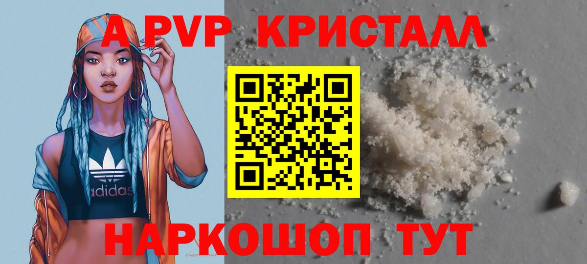 Alfa_PVP СК Будённовск