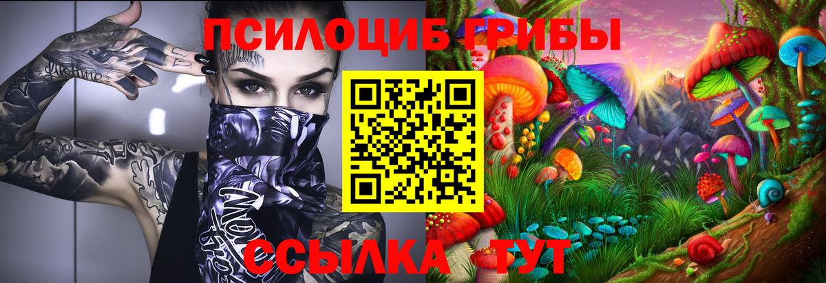 Лсд 25  Каннабис  Будённовск  Меф МЯУ МЯУ кристаллы  Codein  Вход с VPN  ГАШ  Магазин наркотиков  КОКАИН 